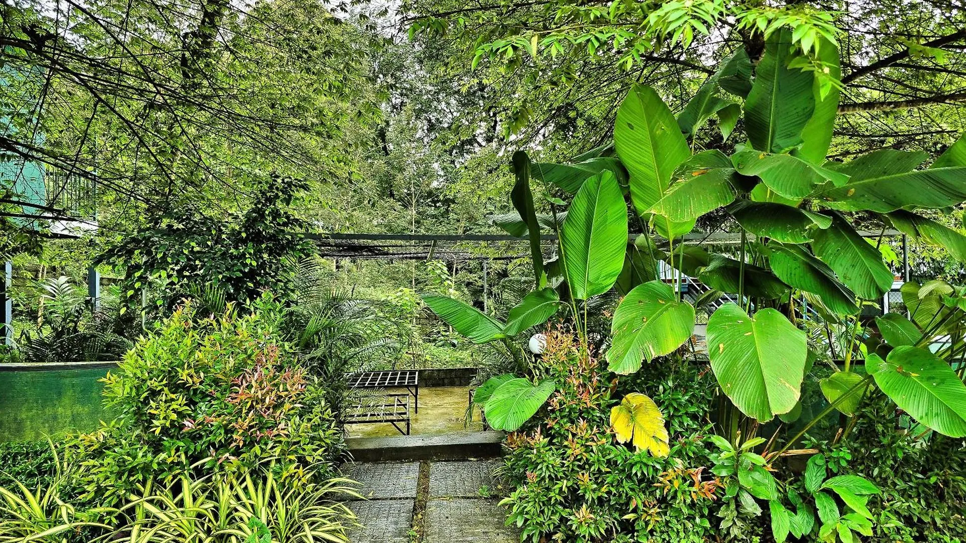 Green Bob Villa Sultan Bathery
