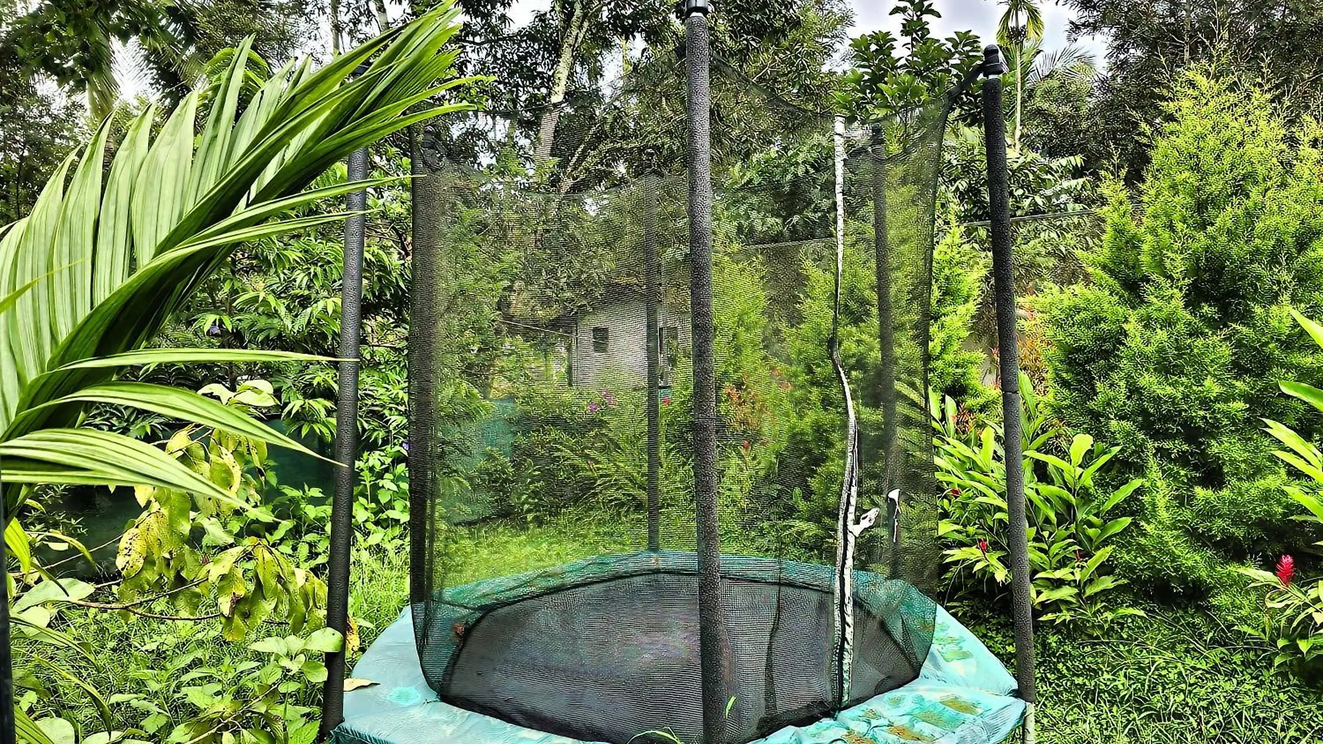 Hotel Green Bob Villa Sultan Bathery India