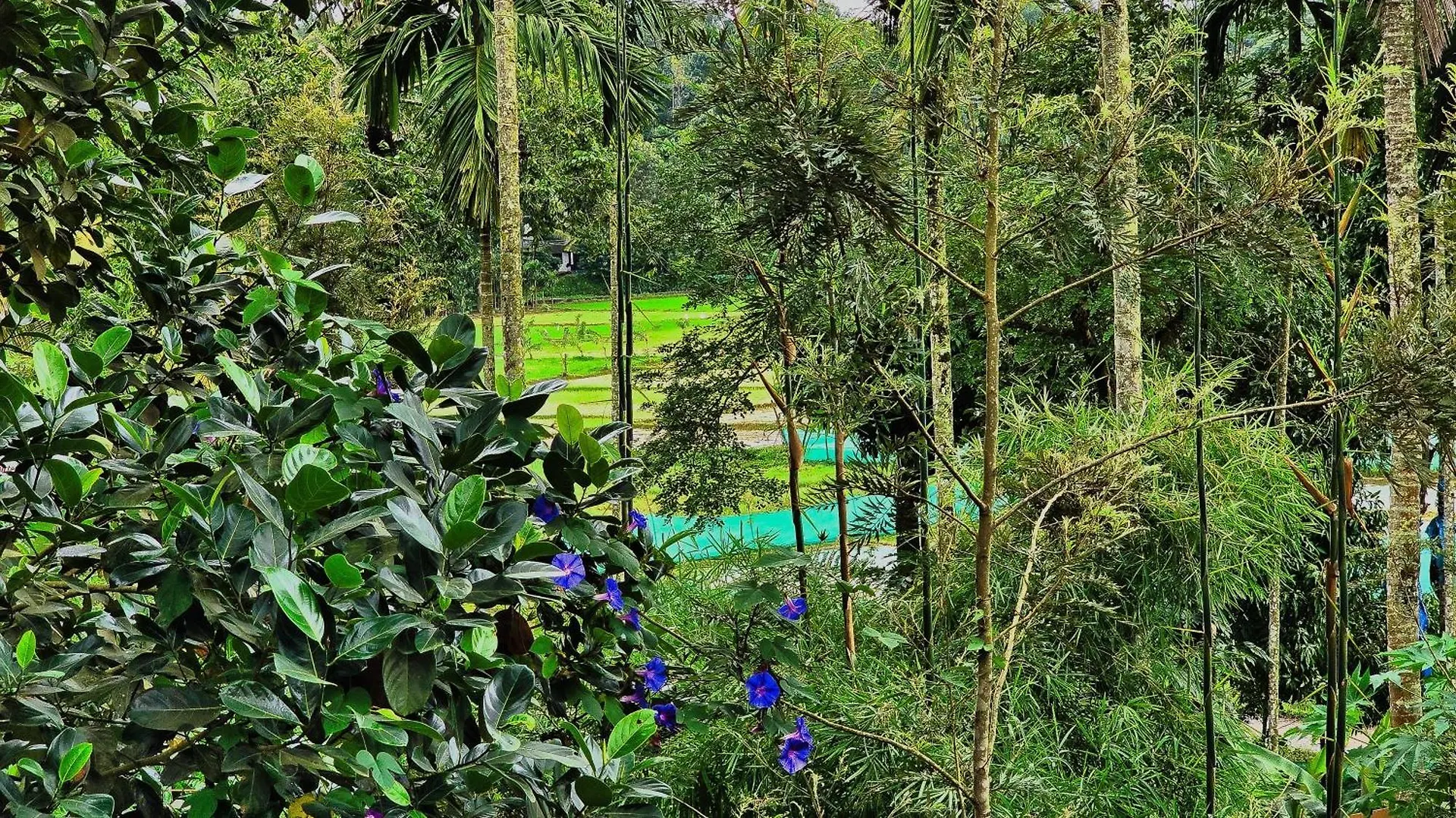 Hotel Green Bob Villa Sultan Bathery
